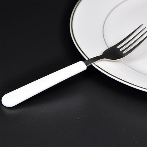 Stainless Steel Fork with Polymer Handle for Adult Thumbnail