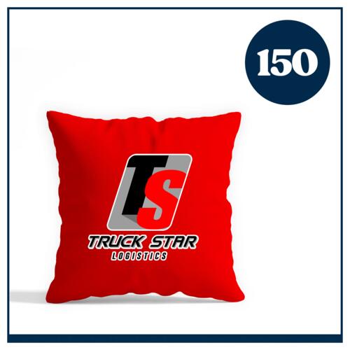 14 x 14" Pillow and Case Thumbnail