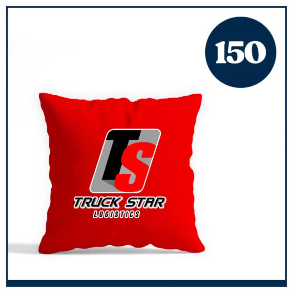 14 x 14" Pillow and Case Thumbnail