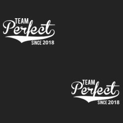 Team Perfect Design