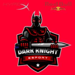 Team Dark Knight Esport - RS-202 Design