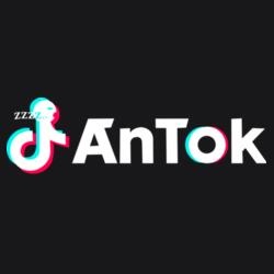 Antok - PYO-2 Design