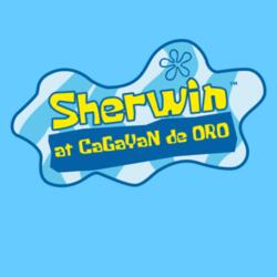 Sherwin at CaGaYaN de ORO - DSN-10 Design