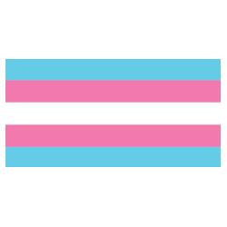 TRANSGENDER Flag Design