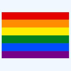 Ref Magnet with LGBT Flag Design