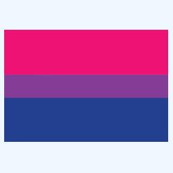 Ref Magnet with BISEXUAL Flag Design