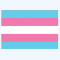 Ref Magnet with TRANSGENDER Flag Design