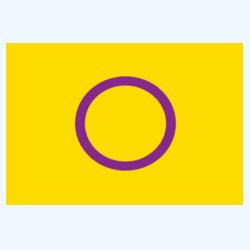 Ref Magnet with INTERSEX Flag Design