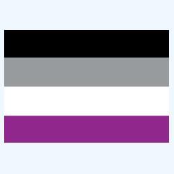 Ref Magnet with ASEXUAL Flag Design