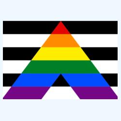 Ref Magnet with STRAIGHT ALLY Flag Design