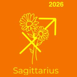Sagittarius, Zodiac Sign - HSP-09 Design