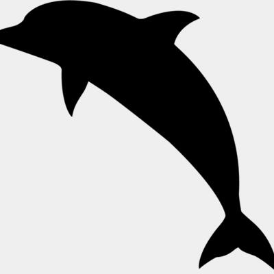 Summer Icon - Dolphin - S09 Thumbnail